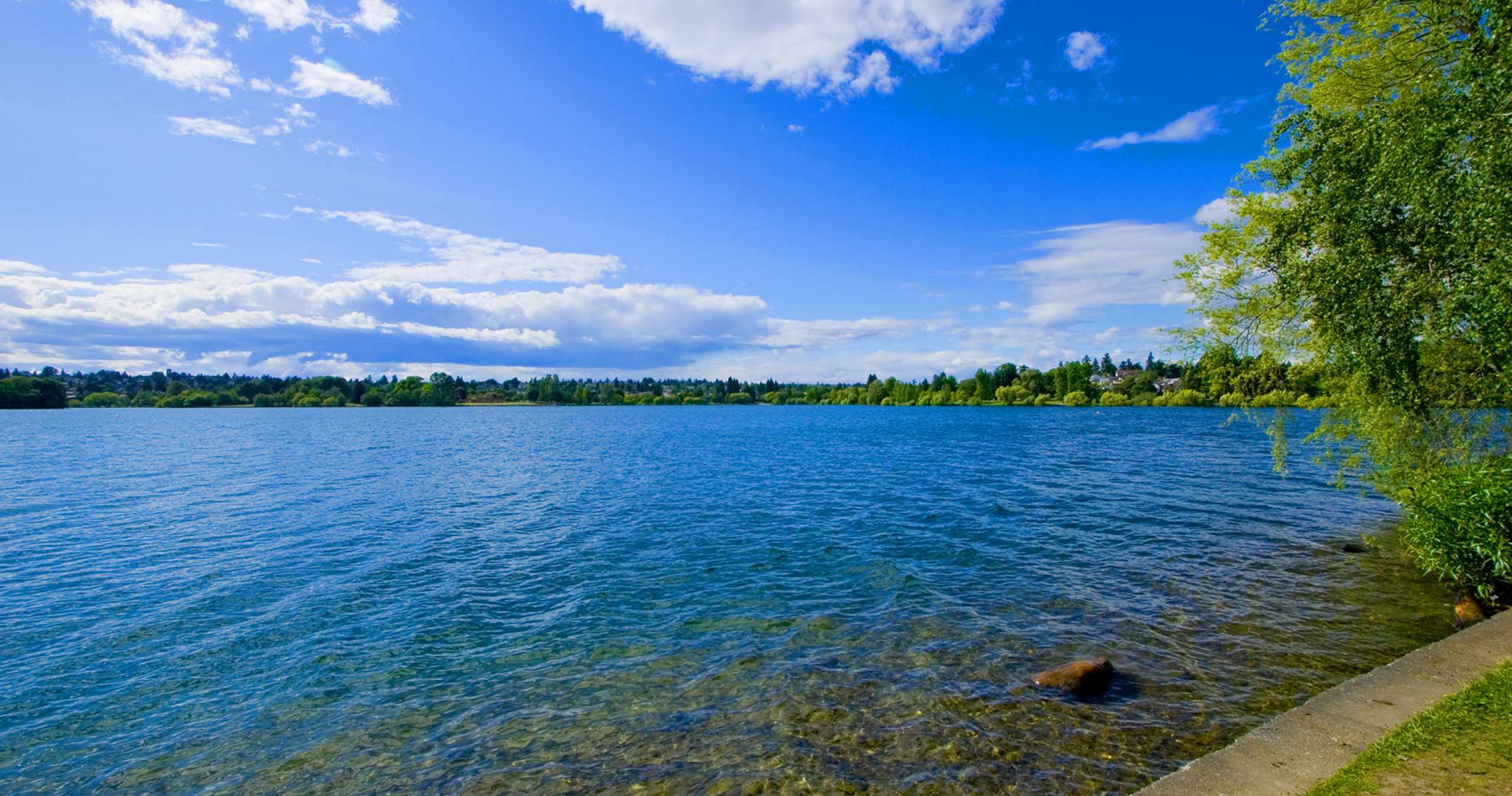 Green Lake on a Sunny Day in Seattle