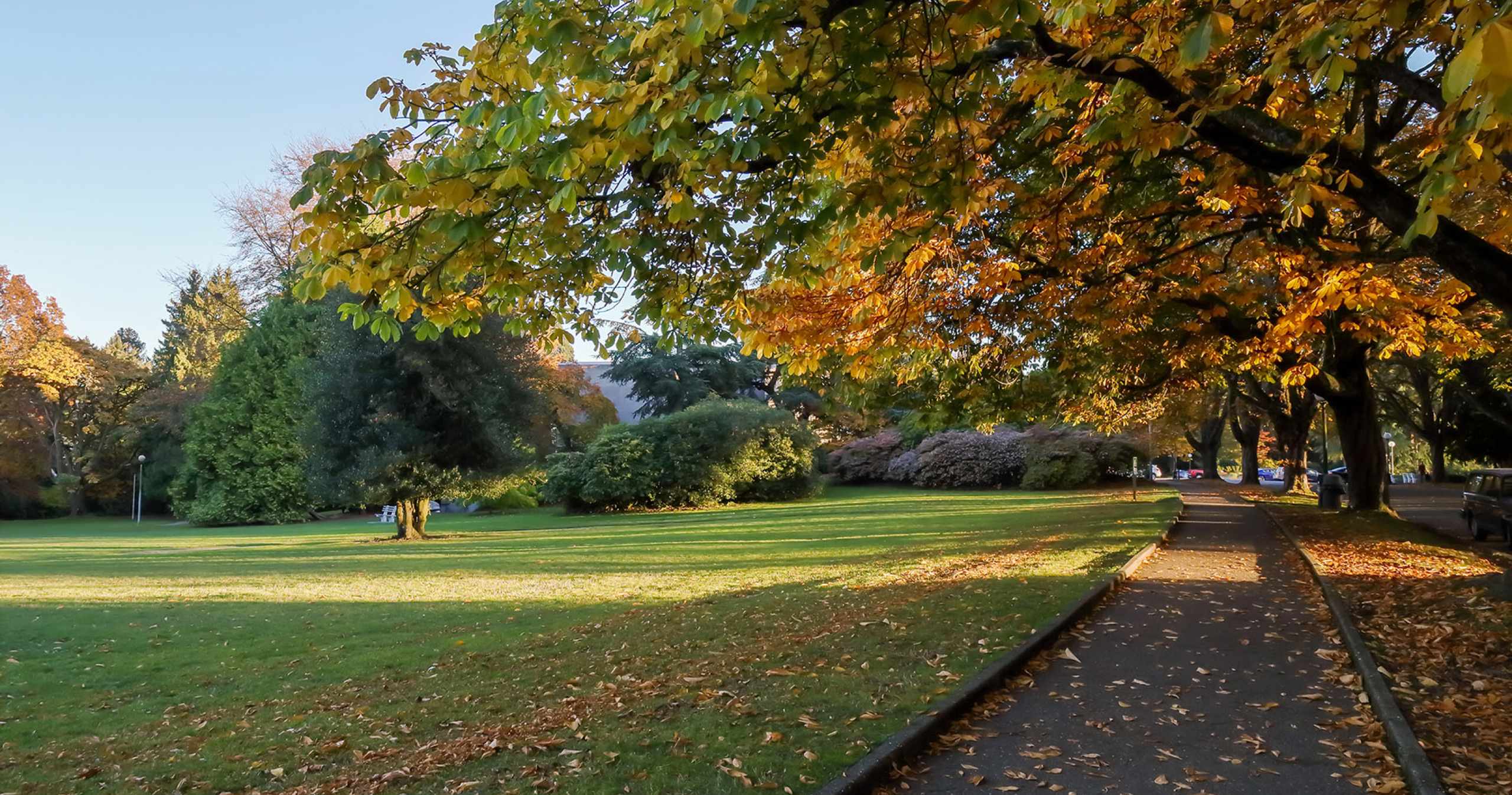 Volunteer Park in the Capitol Hill Neighborhood of Seattle