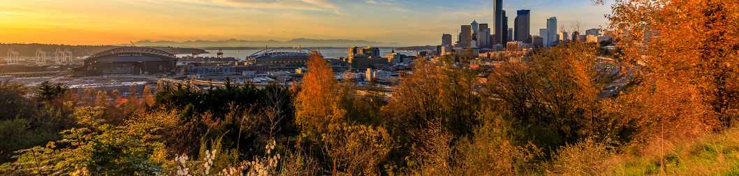 View of Downtown Seattle from Dr. Jose Rizal Park in the Beacon Hill Neighborhood