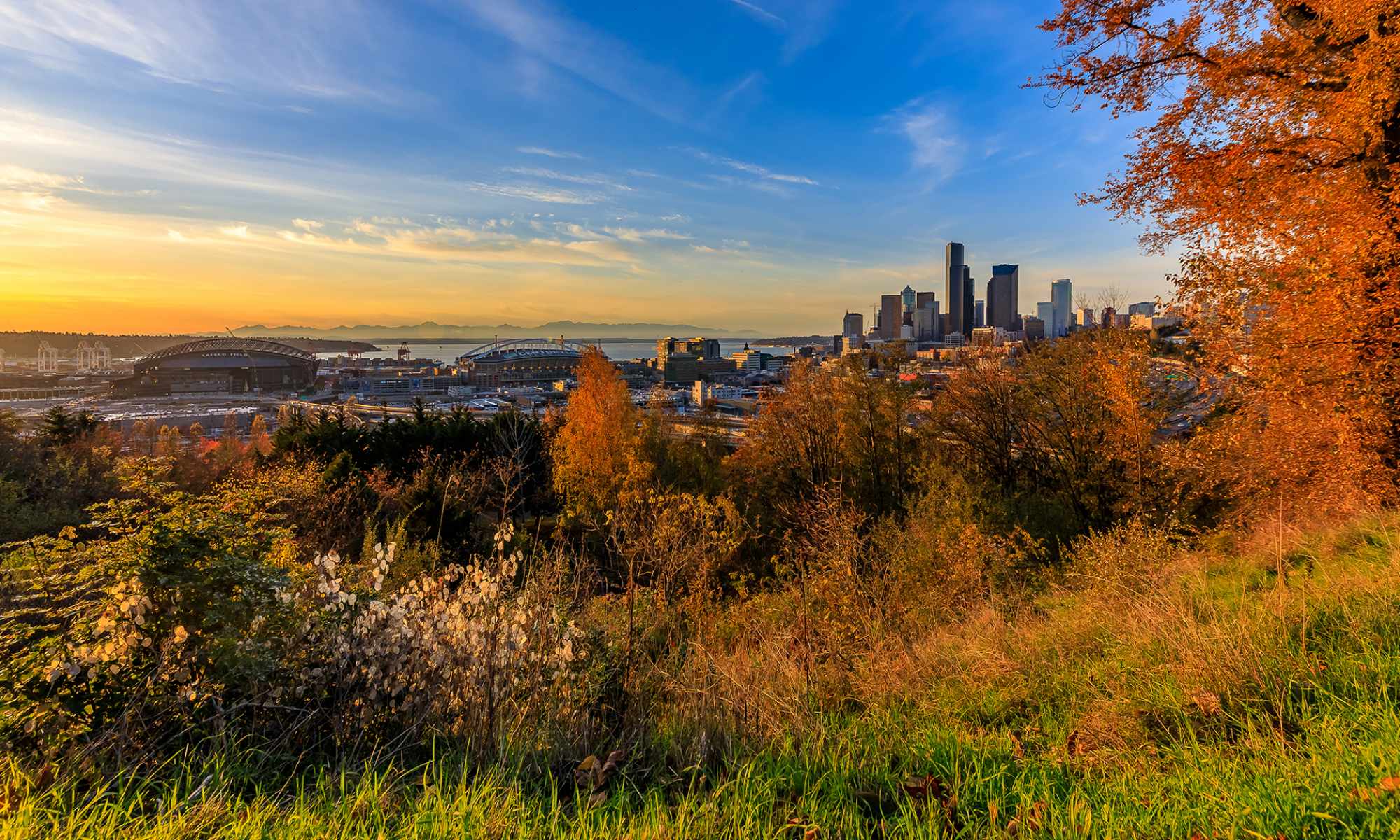 View of Downtown Seattle from Dr. Jose Rizal Park in the Beacon Hill Neighborhood