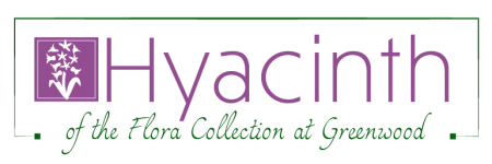 Flora Collection: Hyacinth