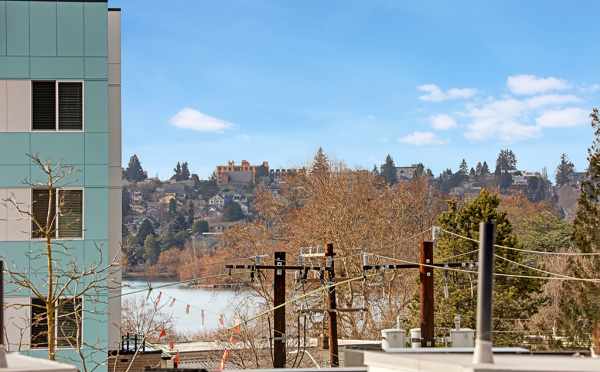 View from the Roof Deck at 7219 5th Ave NE