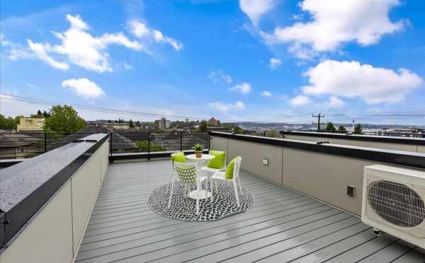 Roof Deck at 1812 E Spruce St, in the Cabochon Collection