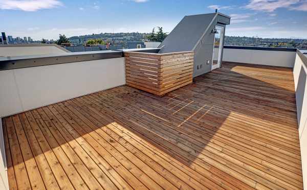 Roof Deck at 3539 Wallingford Ave N