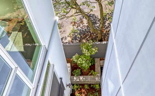 View from the Stairs to the Roof Deck at 1724B 11th Ave