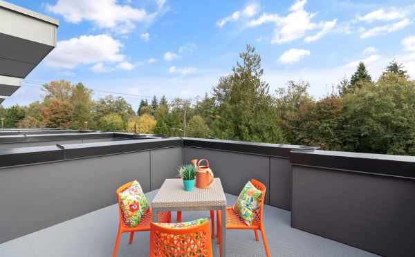 Roof Deck at 10843 11th Ave NE in the Lily Townhomes