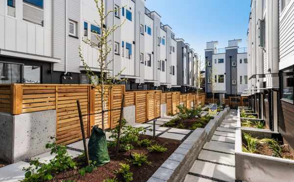 View of the Courtyard Between the Buildings of Corazon Central