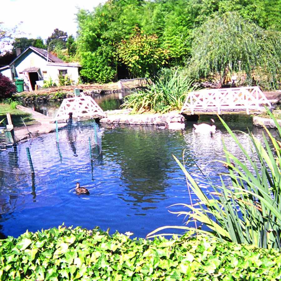 Pilling's Pond in the Licton Springs Neighborhood of Seattle